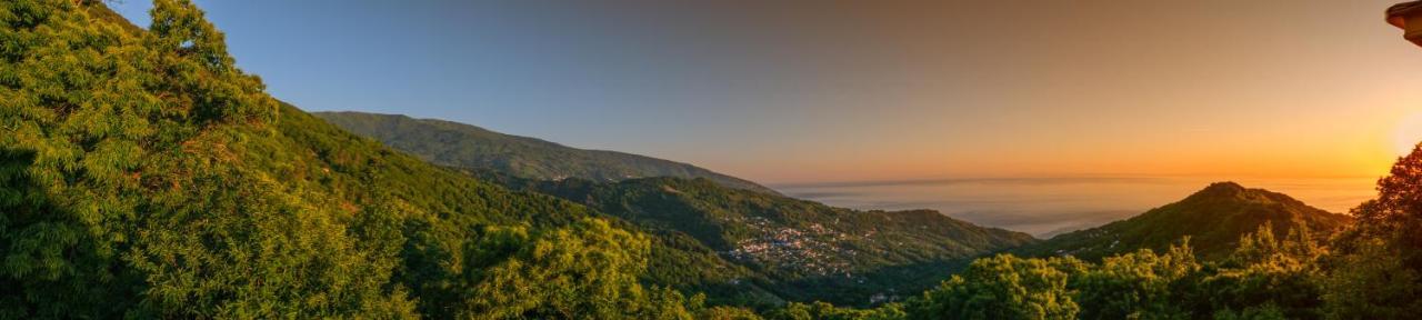 A Dream Deferred Villa Pelion Kissos  Exterior photo